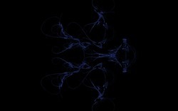 2014 04 30 Webs and Things 31-black.jpg